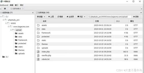 cms網站系統分析 74cms bagecms yccms 漏洞測試