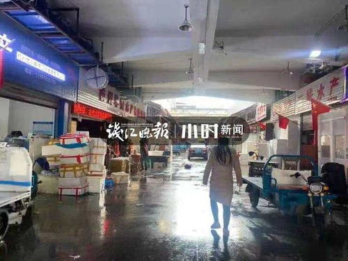 浙籍奧運冠軍同款 鮮掉眉毛的東海梭子蟹 帶魚最快3日凌晨到杭州